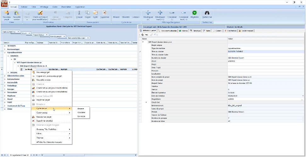 SEE-Project-Manager-1 SEE-project-manager