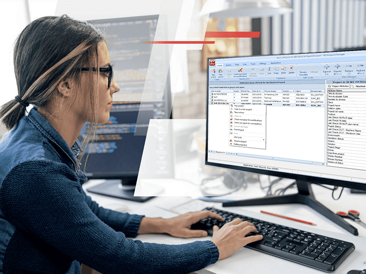 SEE-Project-Manager